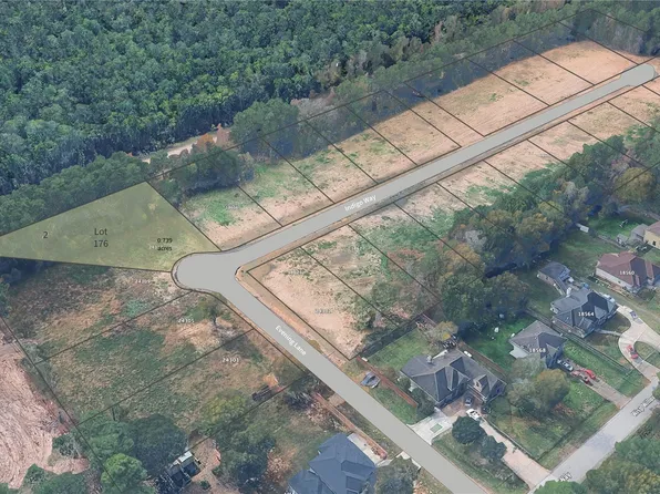 176 Indigo Way Lot 176, Porter, TX 77365
