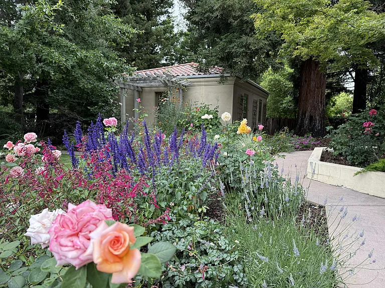 Alejandra Ave — Photo 29