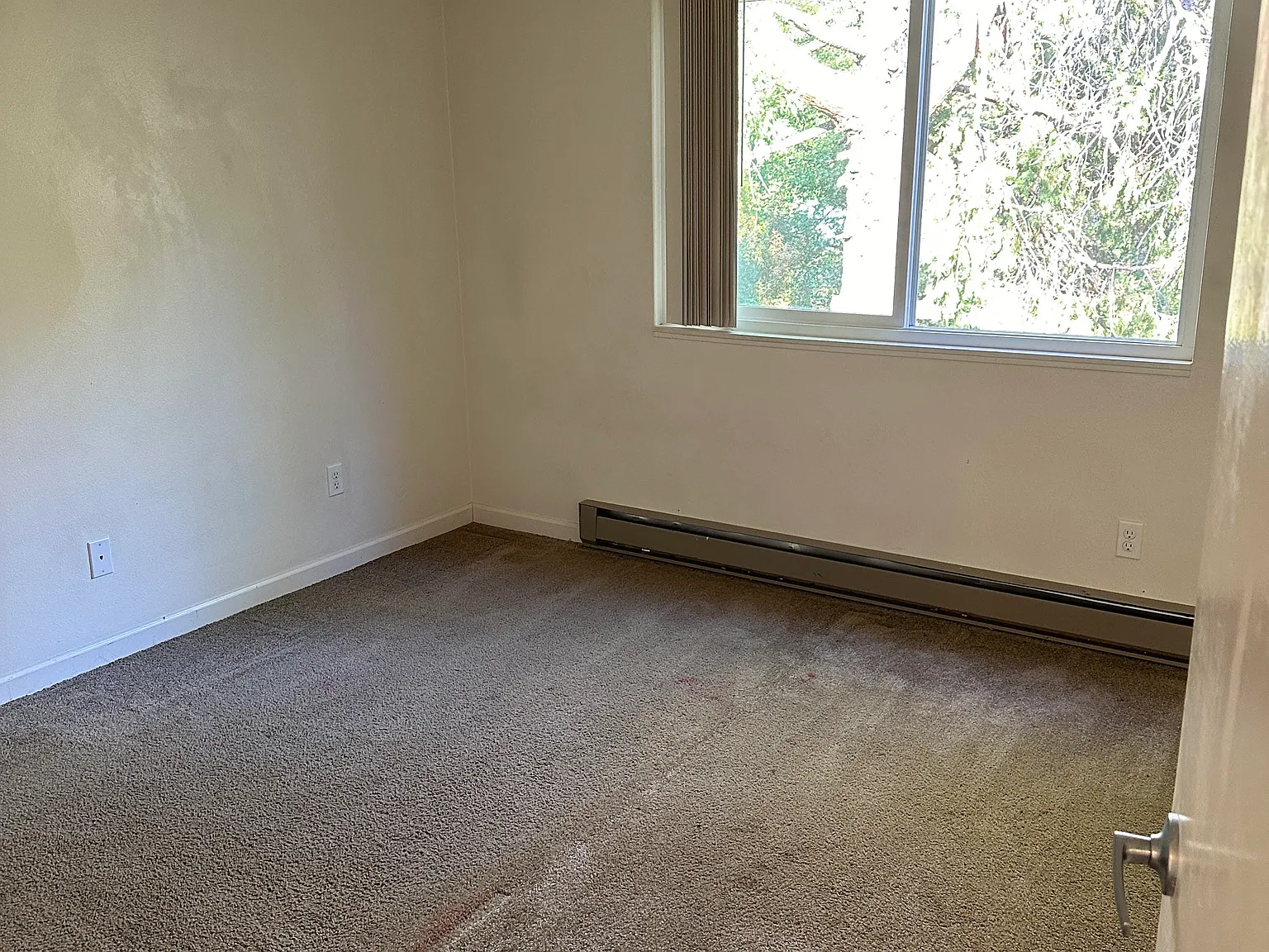 1 bed, $950 — Photo 2