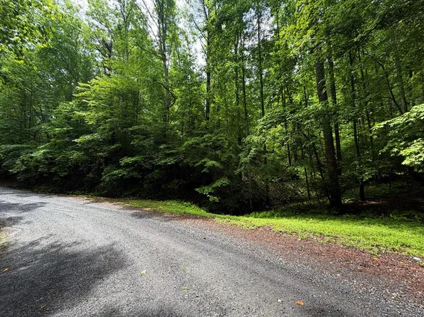 144 Alcan Way, Ellijay, GA 30540