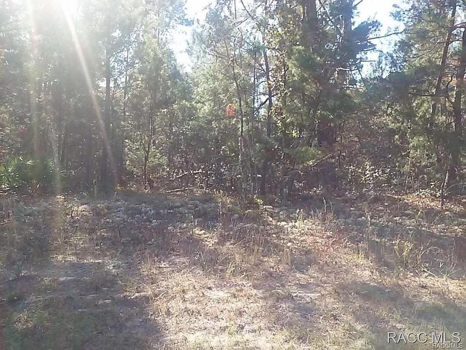 1st image of 4294 W Malaluka Cir