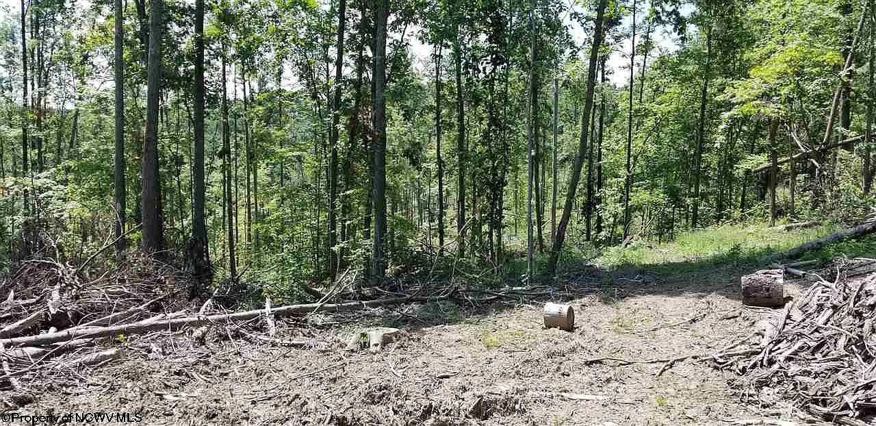 4ACR E Halleck Rd, WV 26508 MLS 10133422 Zillow