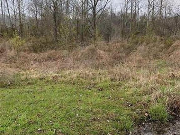 2nd image of 0 Township Road 161