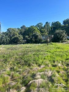 17270 Rancho Tehama Rd, Corning, CA, 96021