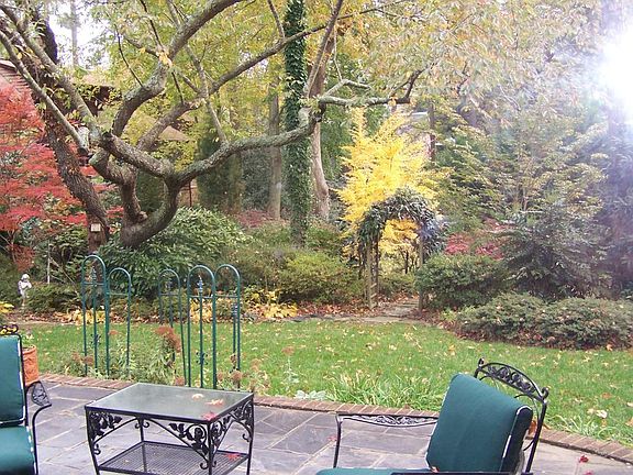 Back yard patio and garden