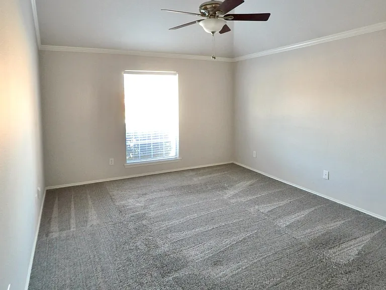 10817 Red Cedar Dr — Photo 16