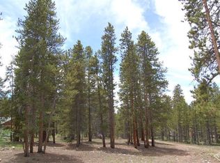 1809 Gold Dr E, Leadville, CO 80461