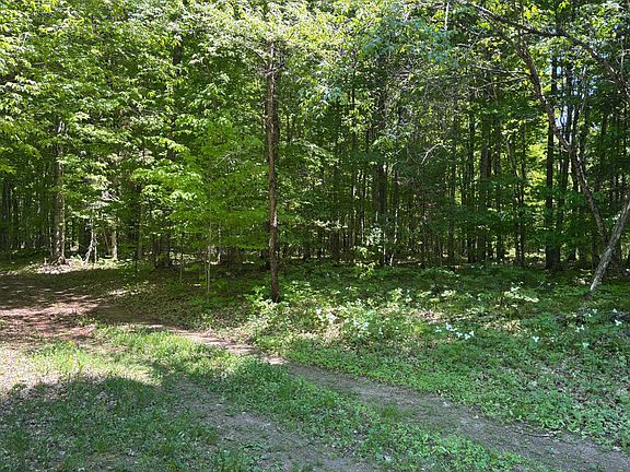 3rd image of 0 Osborn Dr