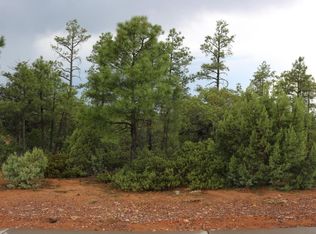 2080 S Twin Peak Trl, Show Low, AZ 85901