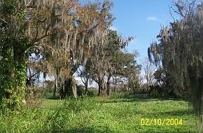1st image of 4895 Highway 441 SE