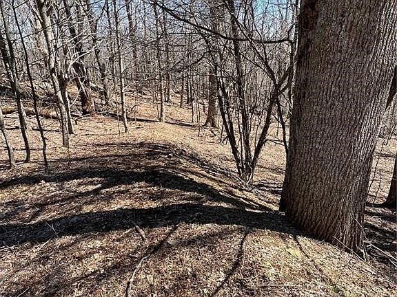 4th image of TBD Nettles Ridge #31