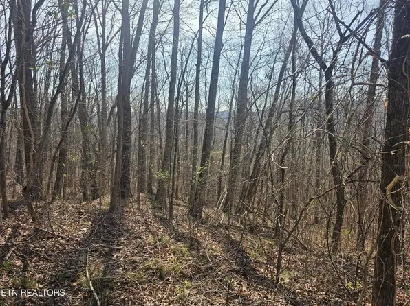 0 Glenoby Rd, Jamestown, TN 38556