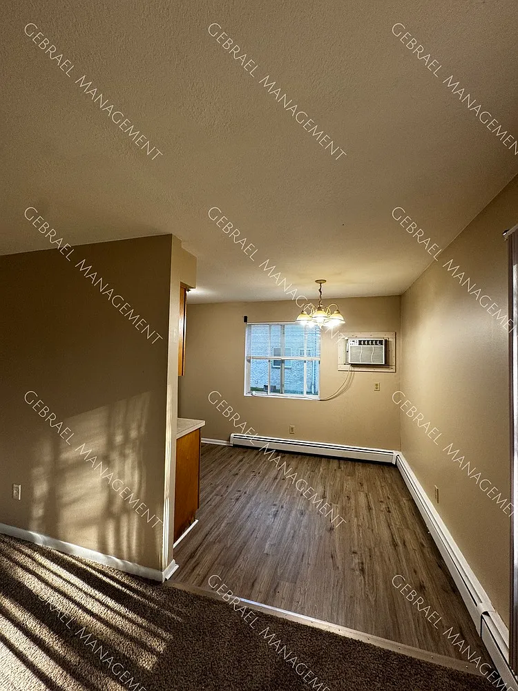 3703 Bernice Dr NEW — Photo 4
