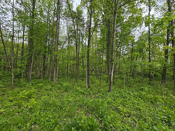 3rd image of 0 N Delaware Rd