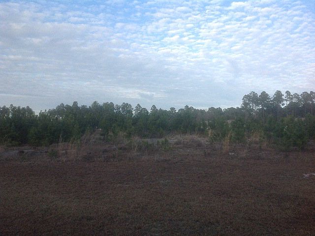 2nd image of 167 Hunters Point Way