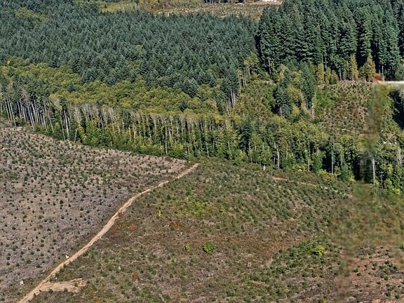 4th image of 0 Lot 4 Macomber Street W