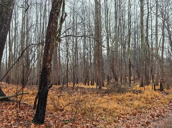 LOT Obannons Mill Rd #B, Boston, VA 22713