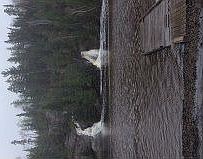 2nd image of 10253 Ash River Trl