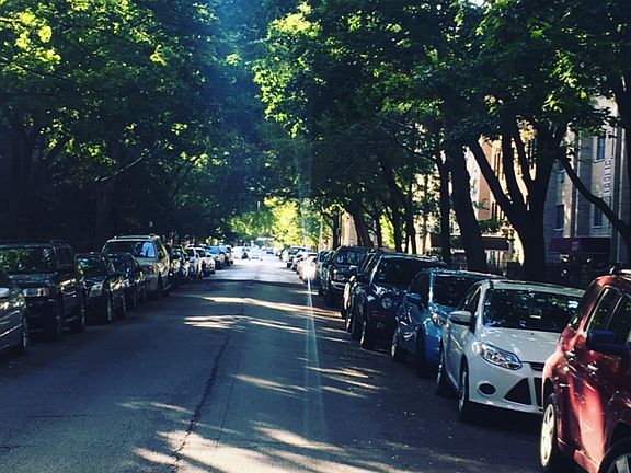Beautiful tree-lined block