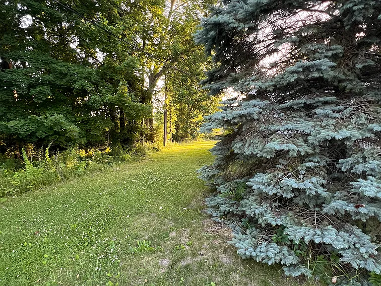 20835 Tuck Rd — Photo 38