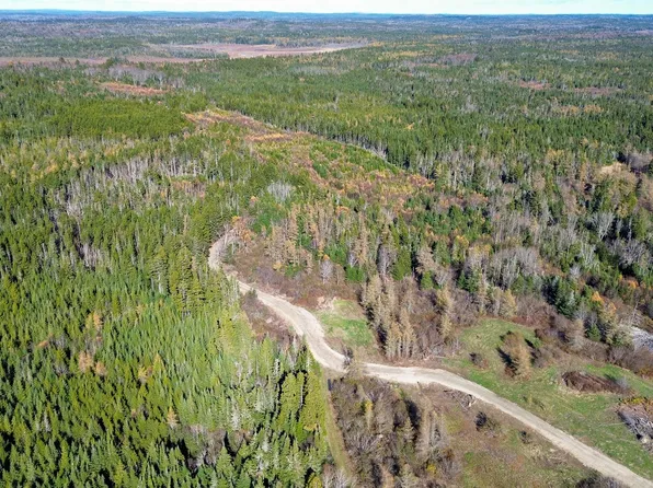 Lot 3 Holmes Bay Farm, Whiting, ME 04691