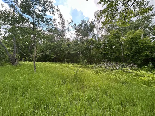 PARCEL 1 Weaver Rd, Comins, MI 48619