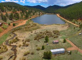 693 Lakeview Rd, Bailey, CO 80421