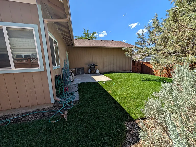 Fully enclosed back yard with large juniper tree, new sod, and xeriscaped border with large established sage plants