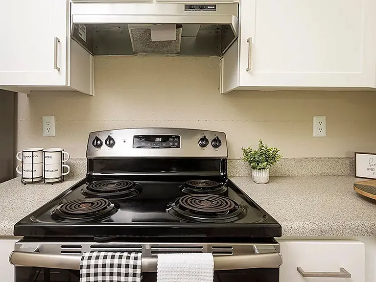 Americana Apartments — Photo 14