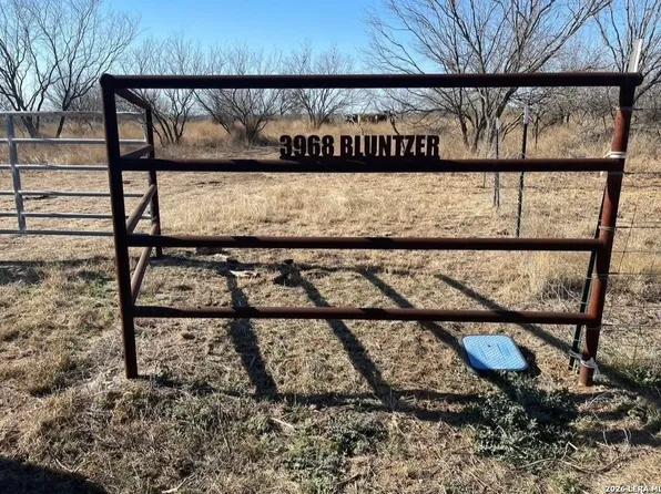 3968 Bluntzer Rd, Jourdanton, TX 78026