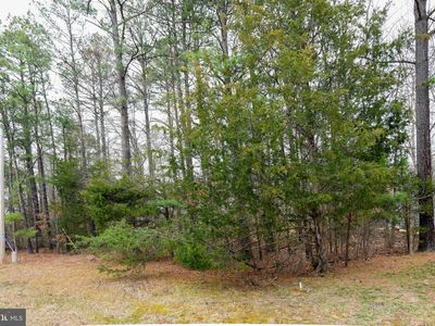 201 Minute Man Dr, Ruther Glen, VA, 22546