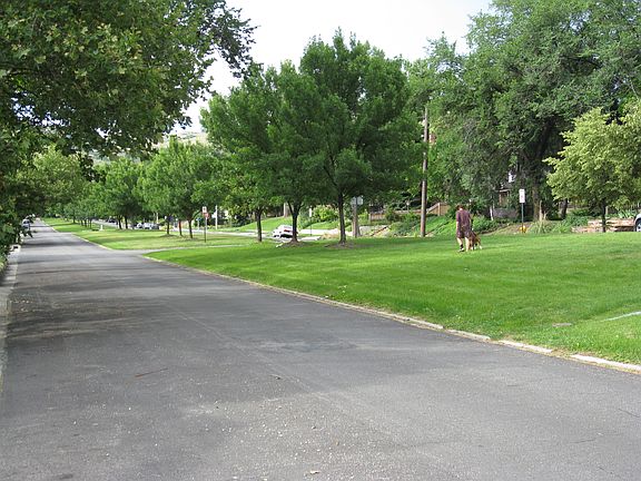 Lovely median strip