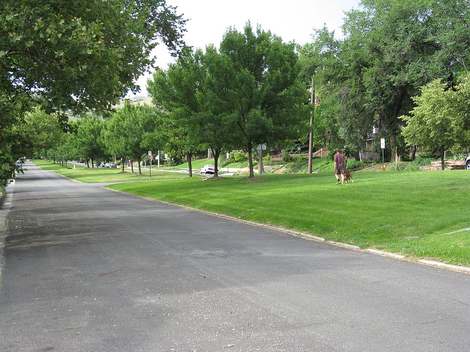Lovely median strip