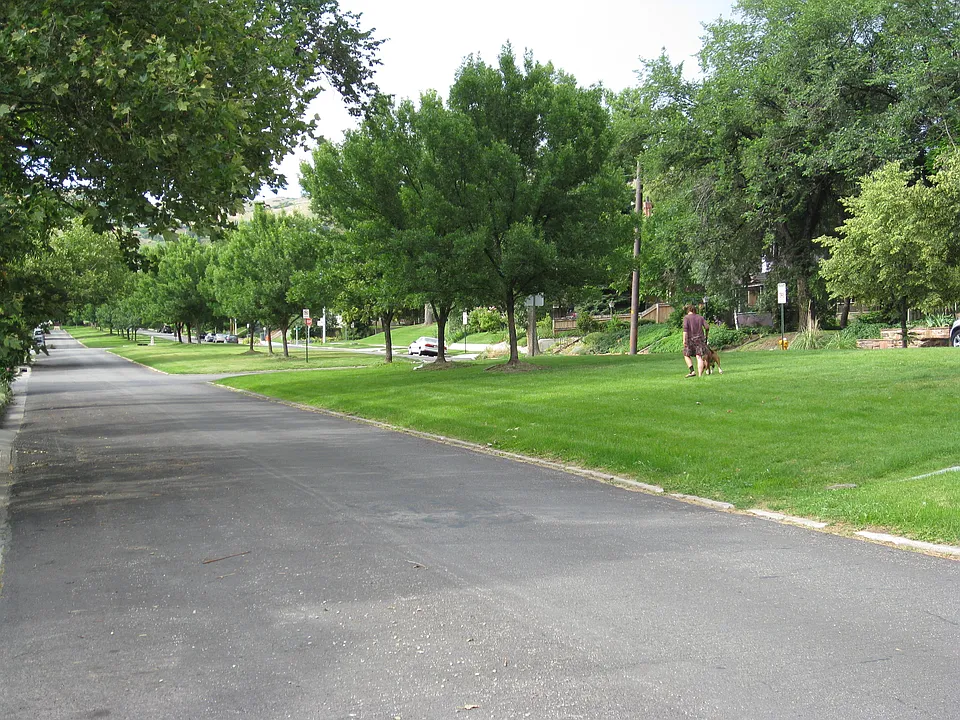 Lovely median strip