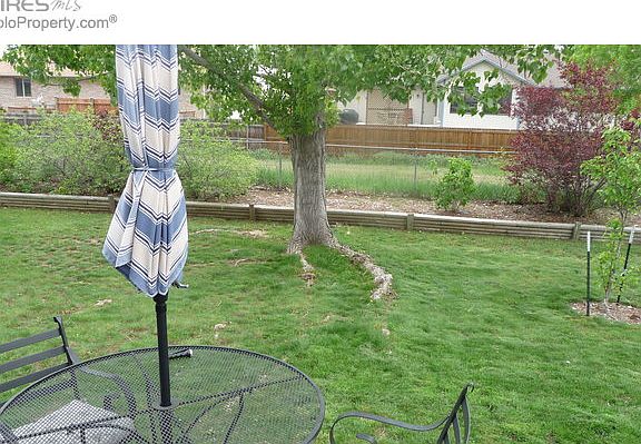 5th image of 972 Larch Dr