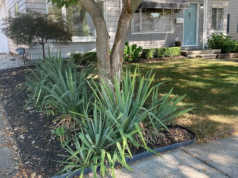 Front yard view from street