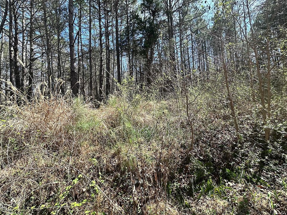 2nd image of 0 Pleasant Hill Church Rd