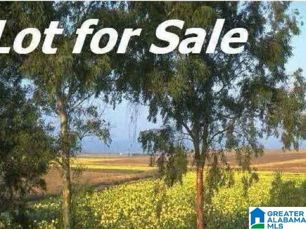 0 Highway 11 #0, Pelham, AL 35124