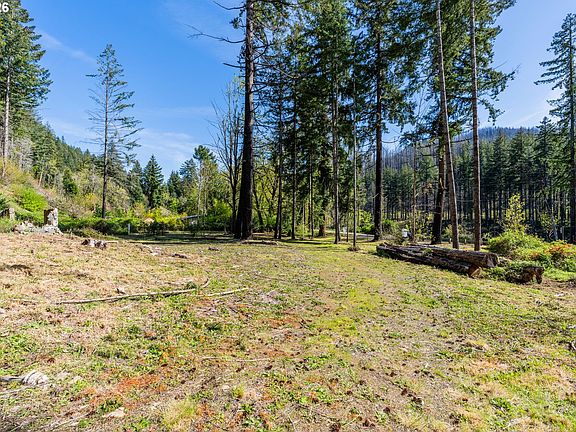 5th image of 47983 McKenzie Hwy