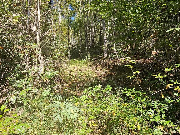 2nd image of 3563 Owl Creek Rd