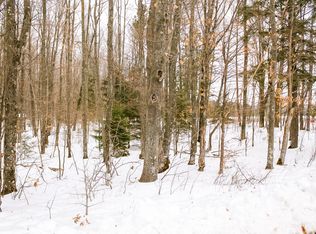 17206 Horn Lake Rd, Townsend, WI 54175