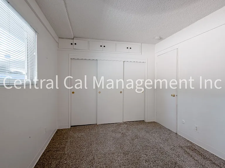2334 Dracena St — Photo 8