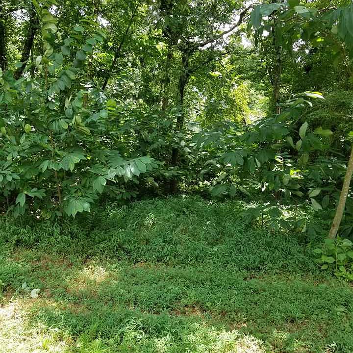 1st image of 1923 Chelaque Way E