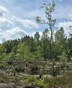 Xx Jj Whitaker Rd, Bonifay, FL, 32425