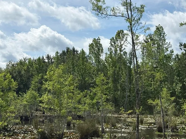 Xx Jj Whitaker Rd, Bonifay, FL 32425