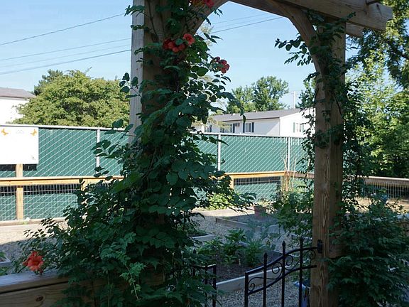 Community Garden Area