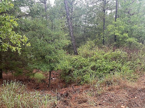 4th image of Pine View Dr