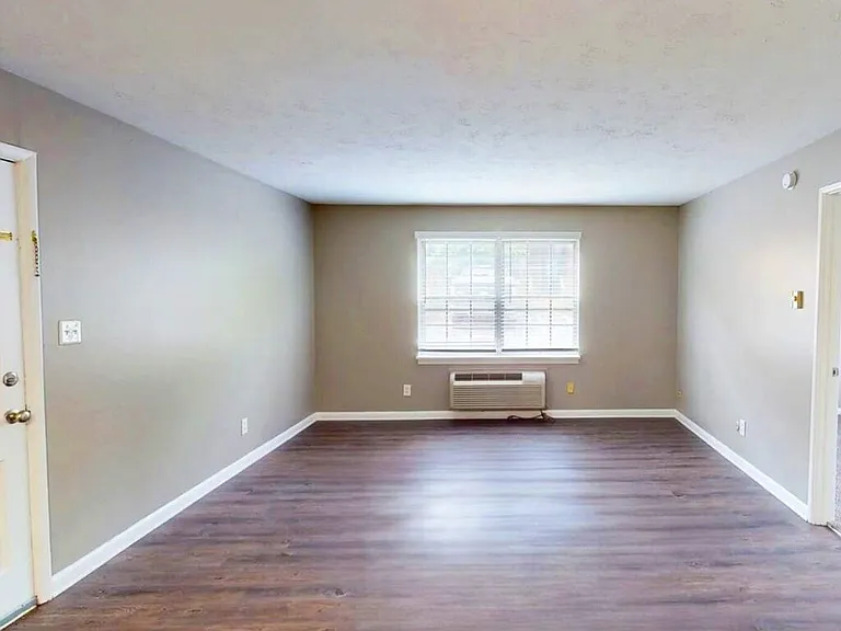 Natural Light Fills the Room