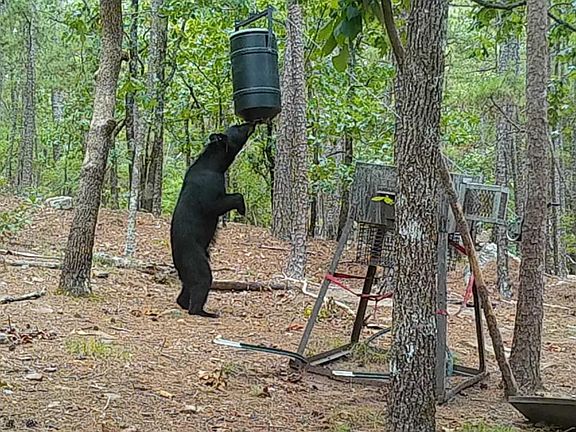 2nd image of Buck Creek Rd
