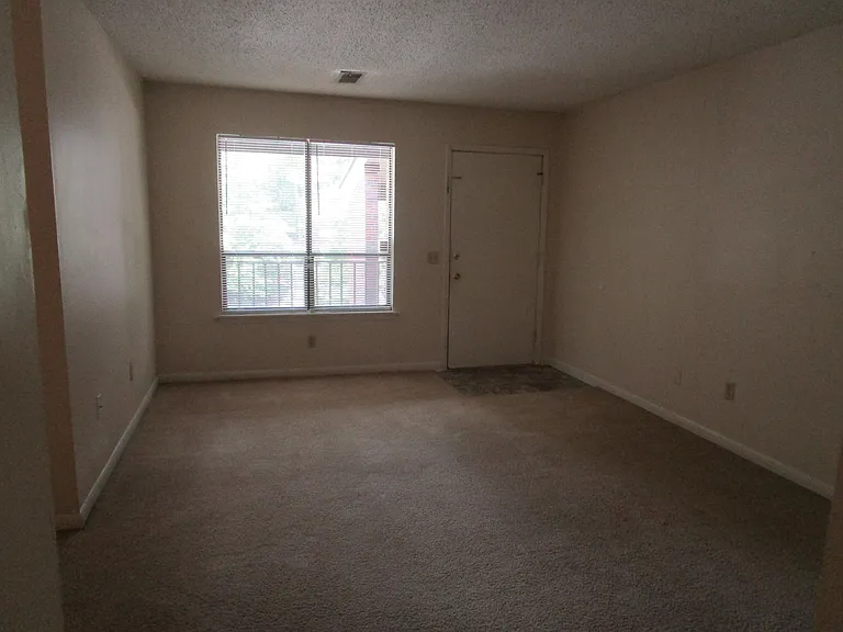 251 Rast St — Photo 3